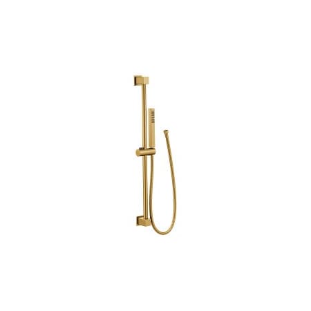 Moen Square Hh W/Slide Bar Bg S3880EPBG